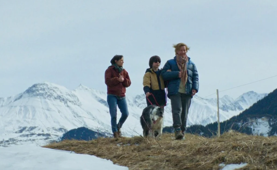 Анатомія падіння