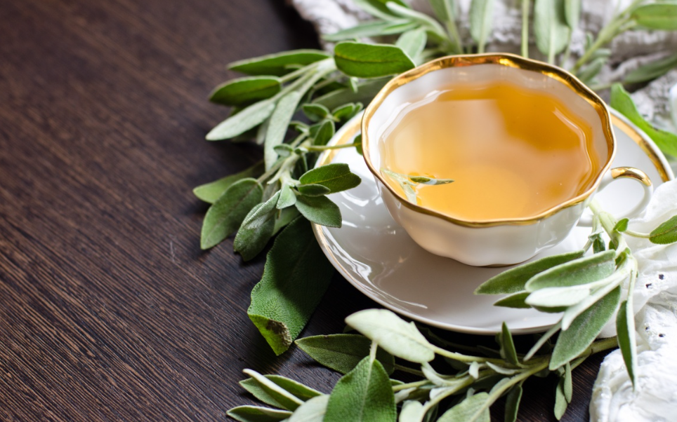 Чай з шавлії користь