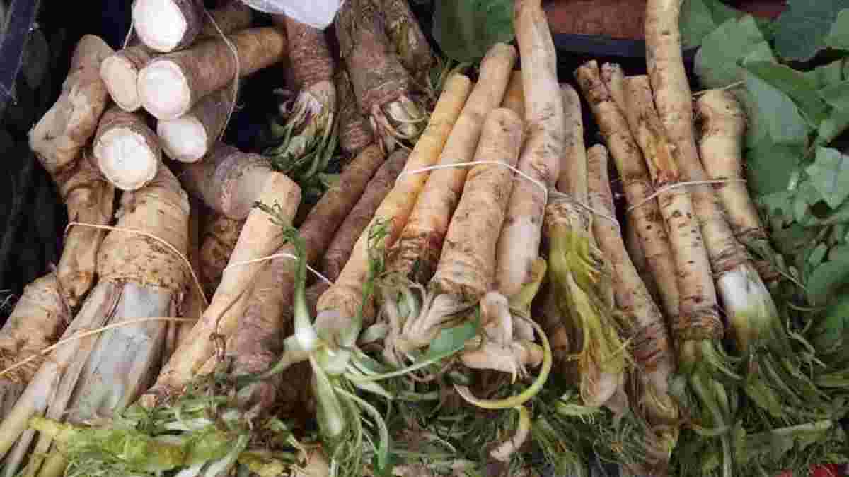 чим корисний хрін