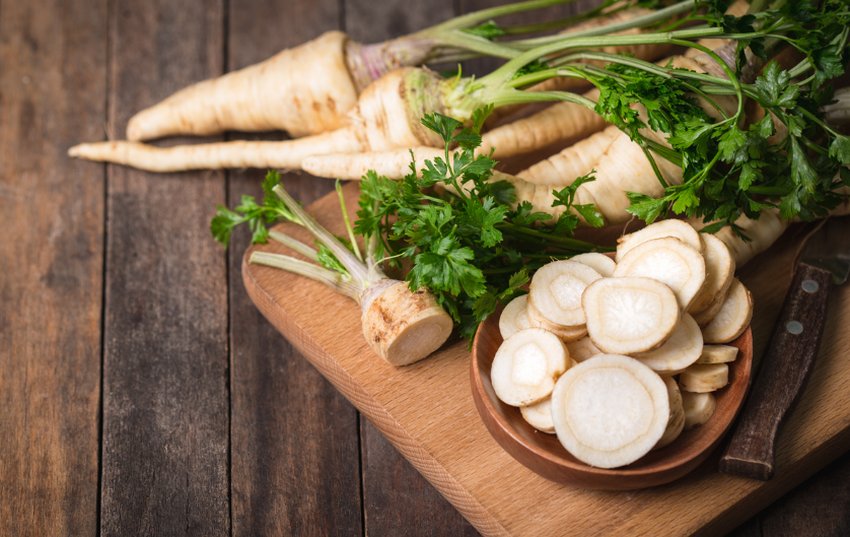 чим корисний корінь пастернаку