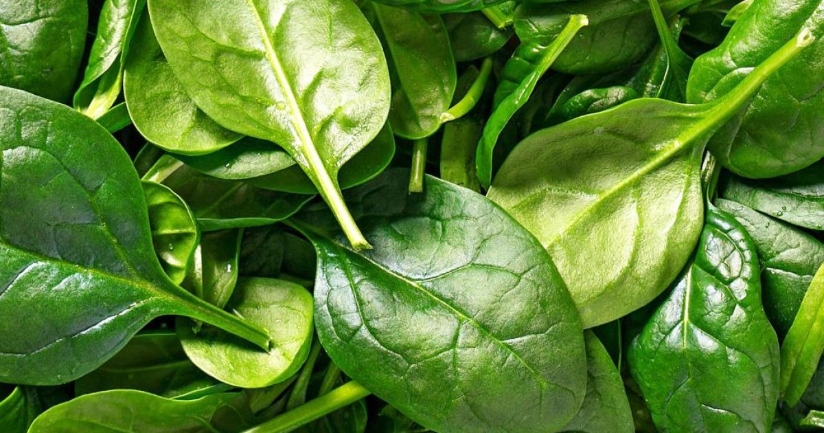 чим корисний шпинат