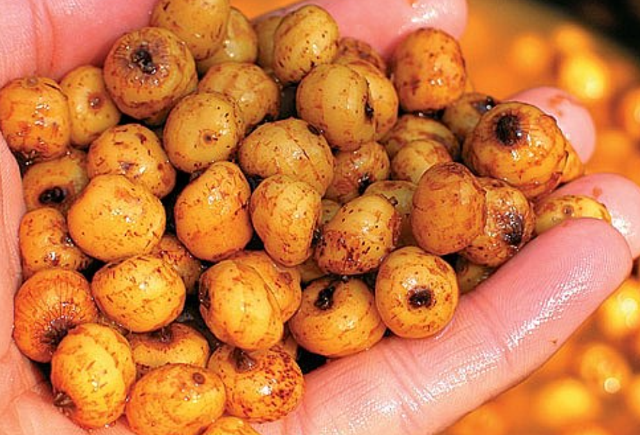 як варити тигровий горіх