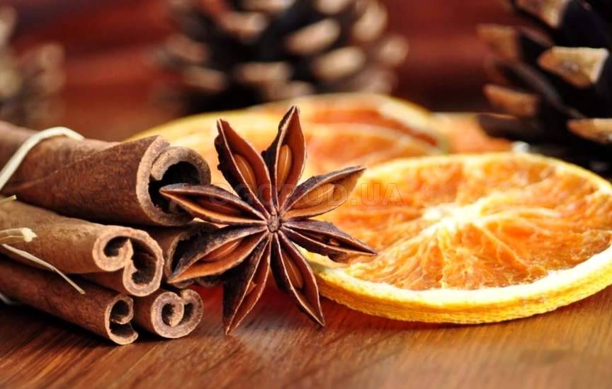 бадьян користь