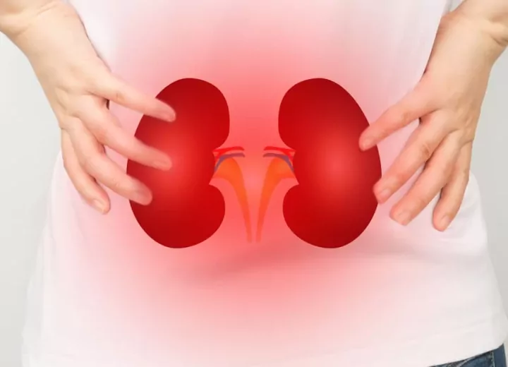 креатинін що показує