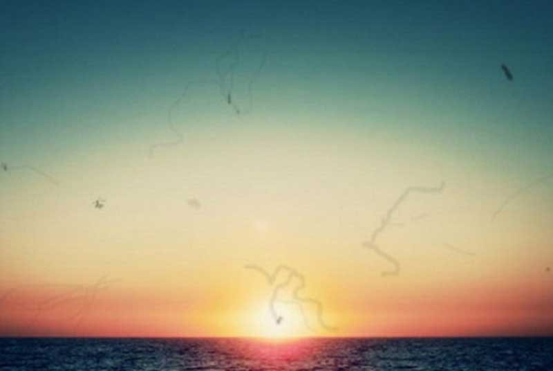 як позбутися мушок перед очима