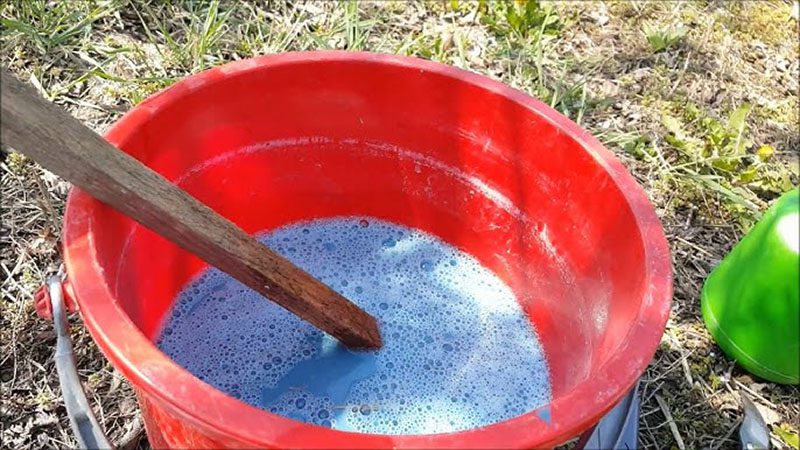 як приготувати бордоську суміш