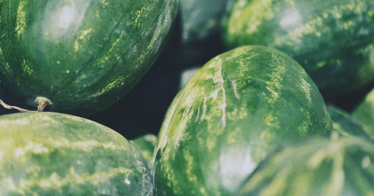 як вибрати кавун синдикат це