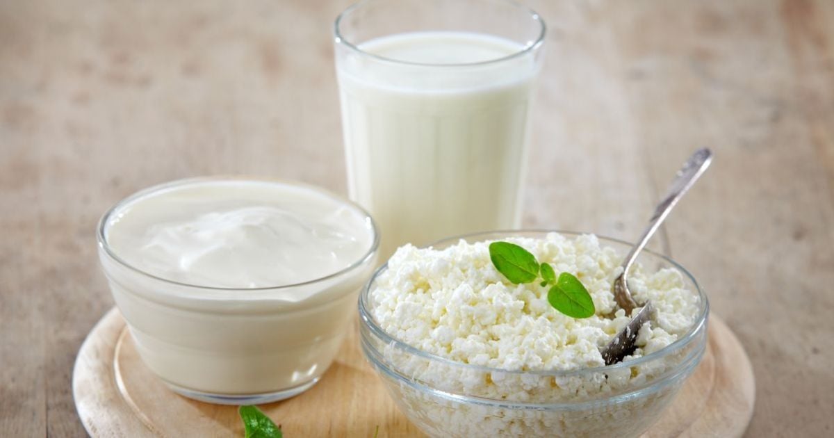 Як зробити сир з свіжого молока