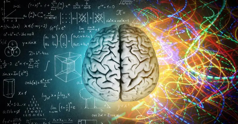 за що відповідає ліва півкуля