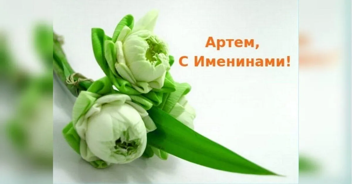 день артема