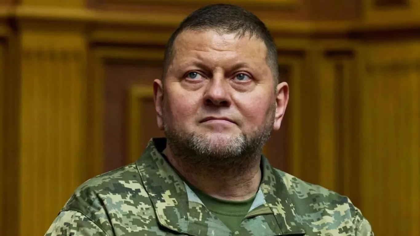 Залужний біографія